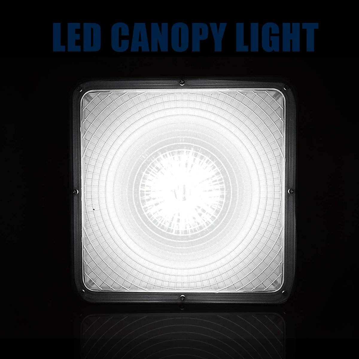 70W LED Canopy Lights 2 Pack A342