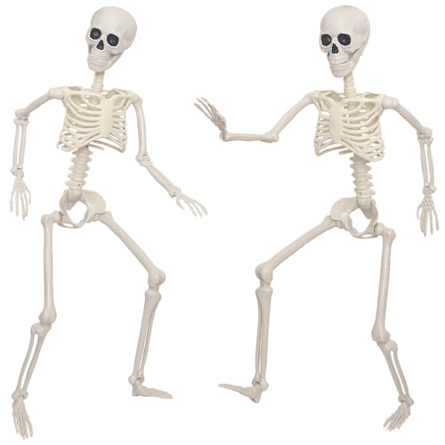 3Ft Life Size Plastic Human Skeleton with Movable Joint R5000