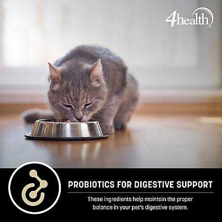 Adult Dry Cat Food Weight Management Q694685