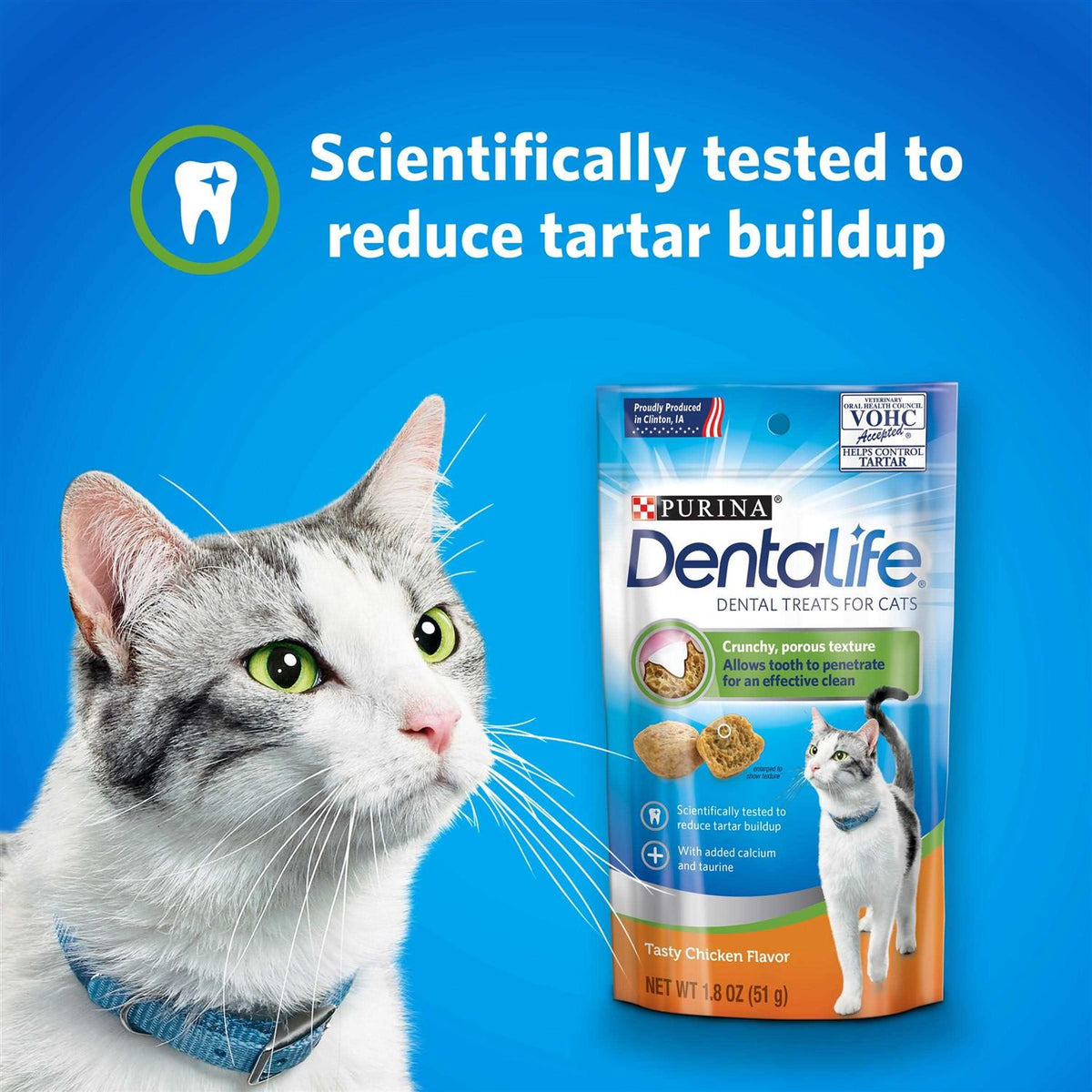 Cat Dental Treats W59503