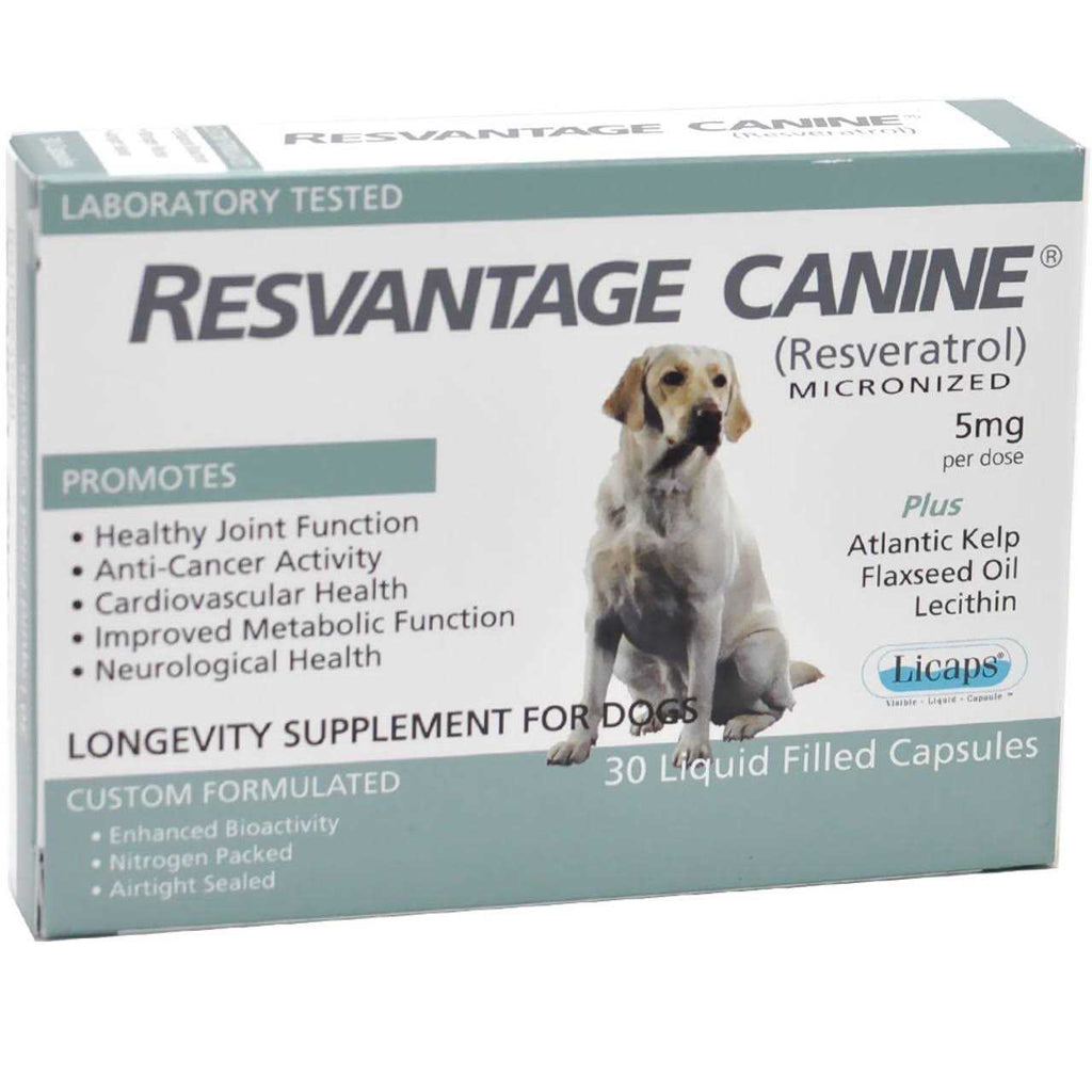 Pet Supplies K10522