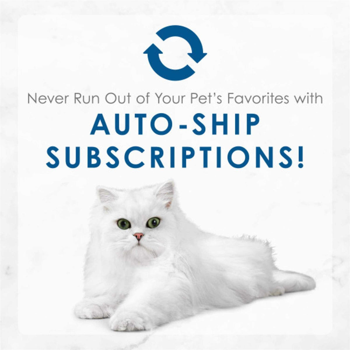 Shredded Tuna Wet Cat Food P510