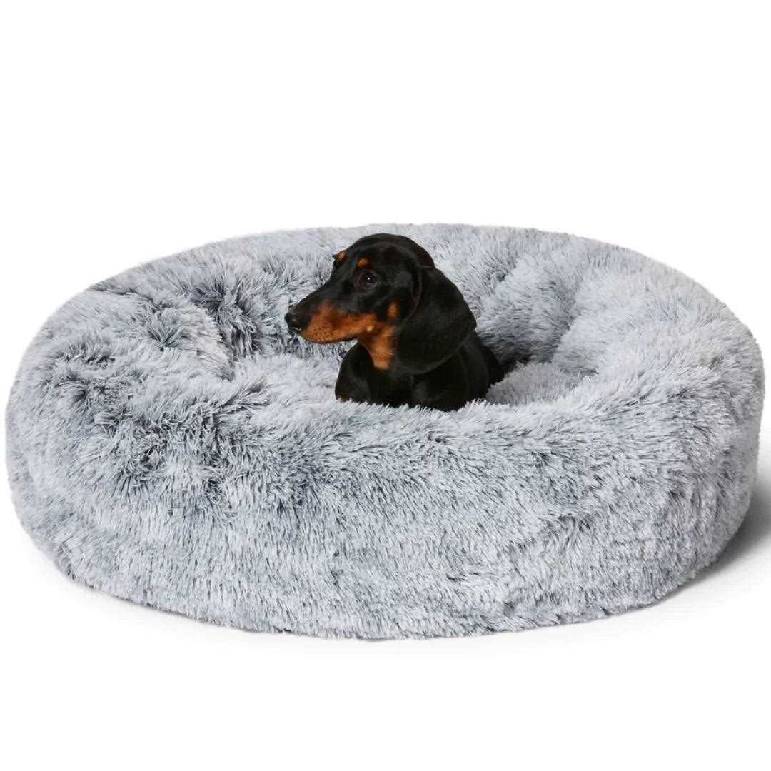 Calming Dog Bed Y4840