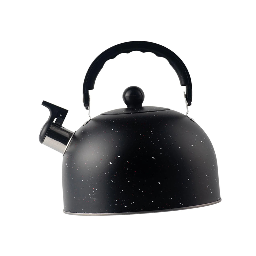 2.5L Stainless Steel Whistling Tea Kettle J744