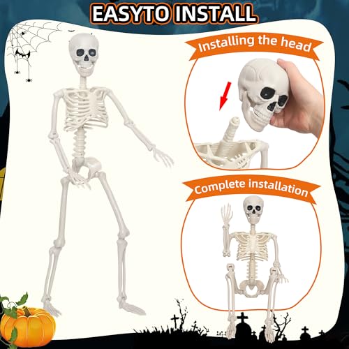 3Ft Life Size Plastic Human Skeleton with Movable Joint R5000