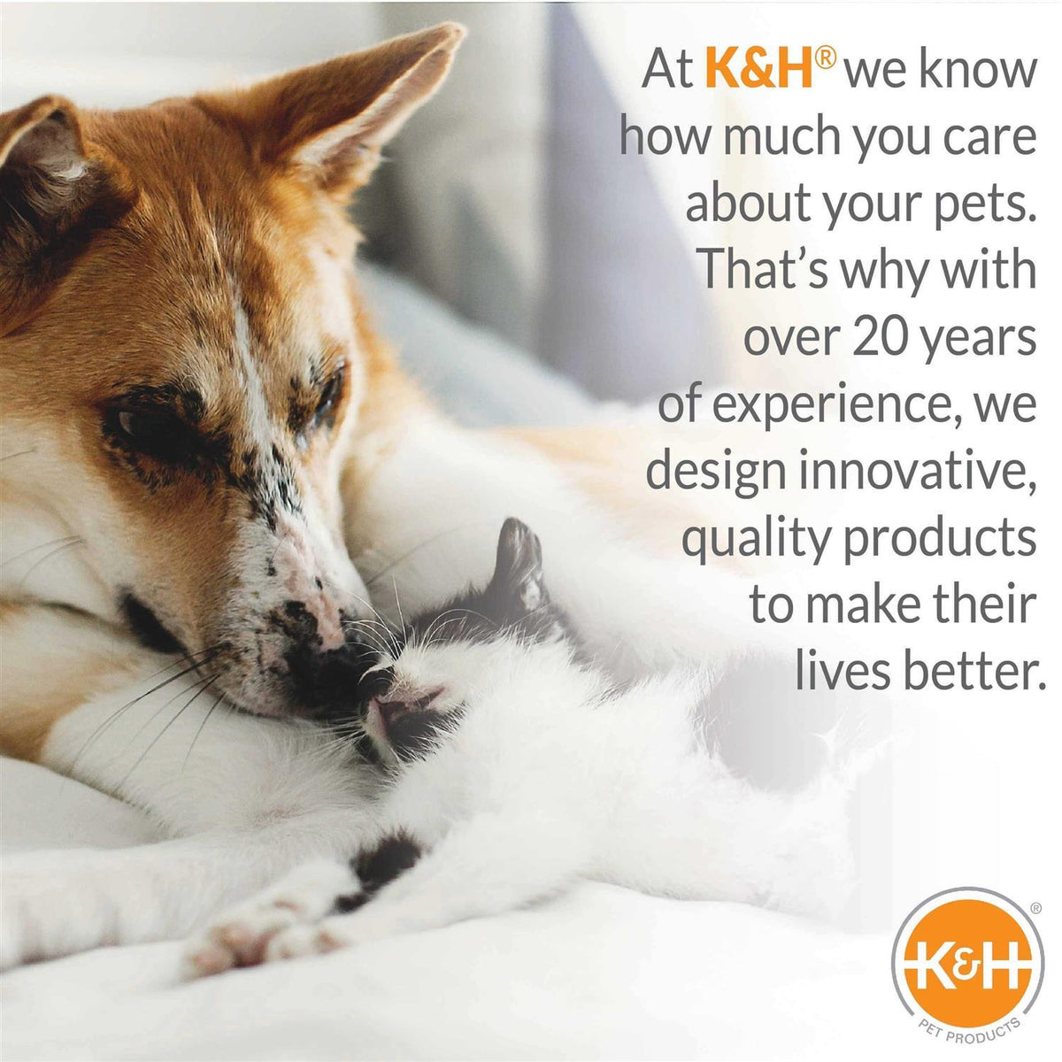 Heated Pet Bed with Bone Pillow S400
