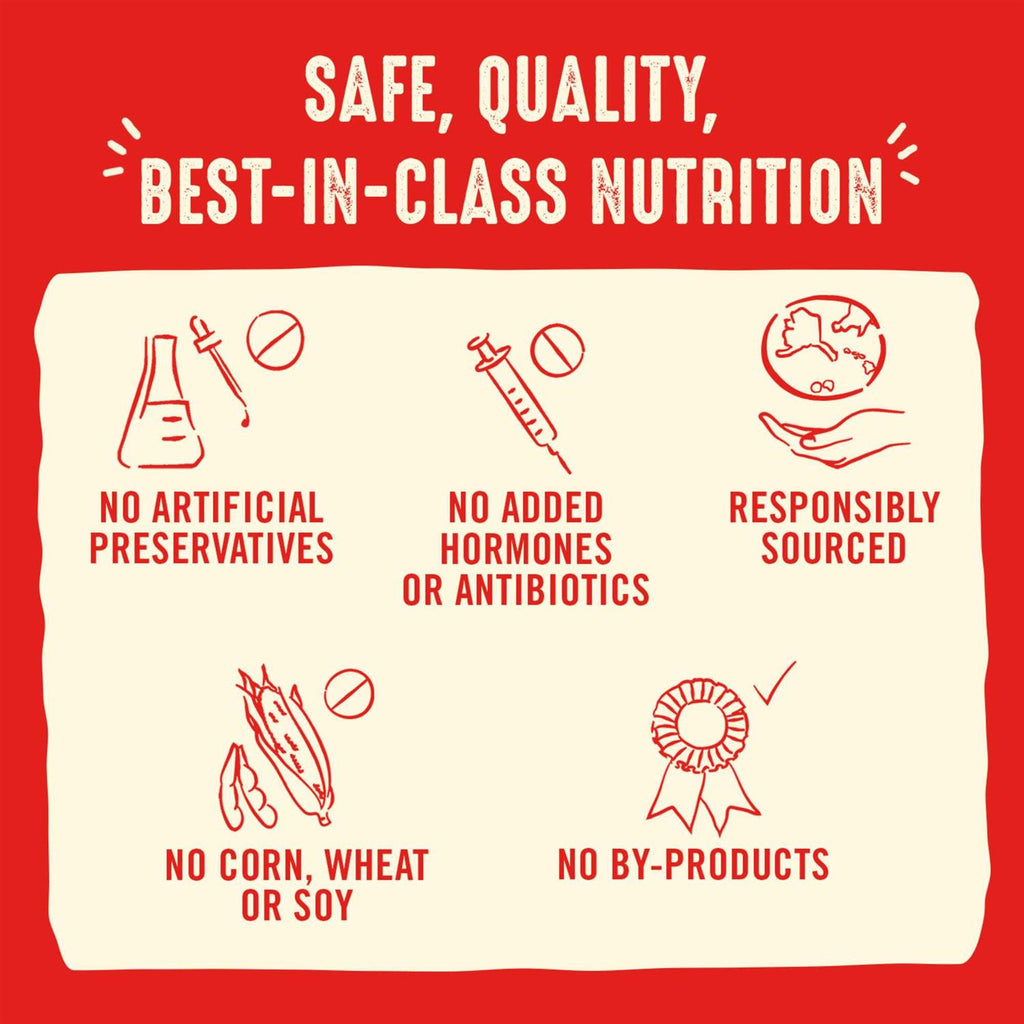 Freeze-Dried Raw Dog Food Salmon Patties J9367