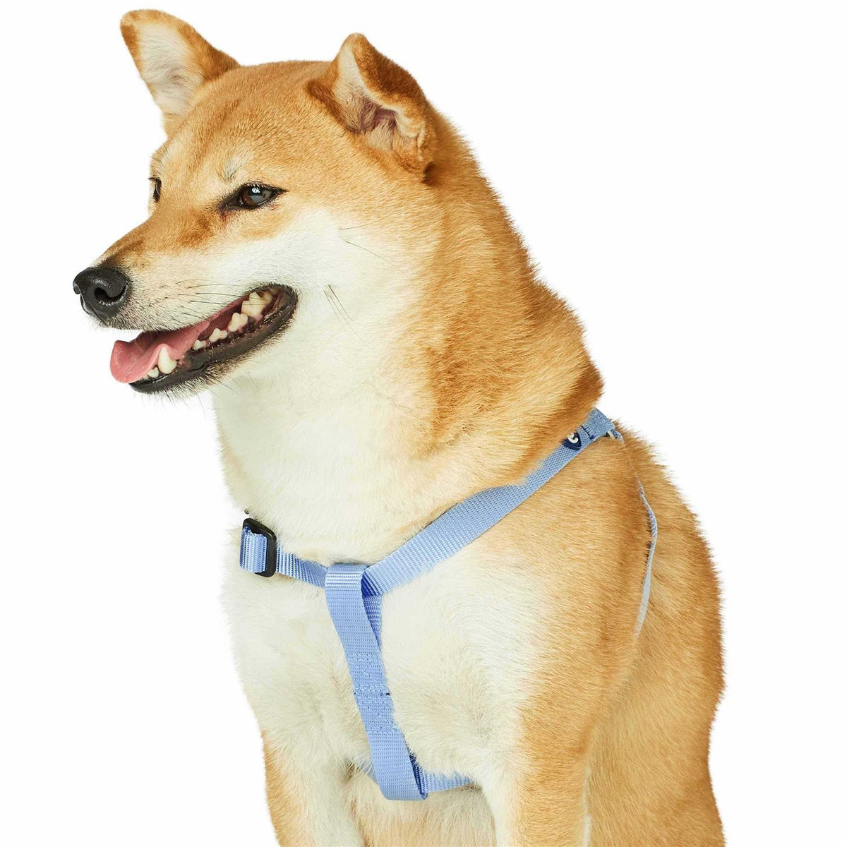 Solid Nylon Step-In Dog Harness Z753547