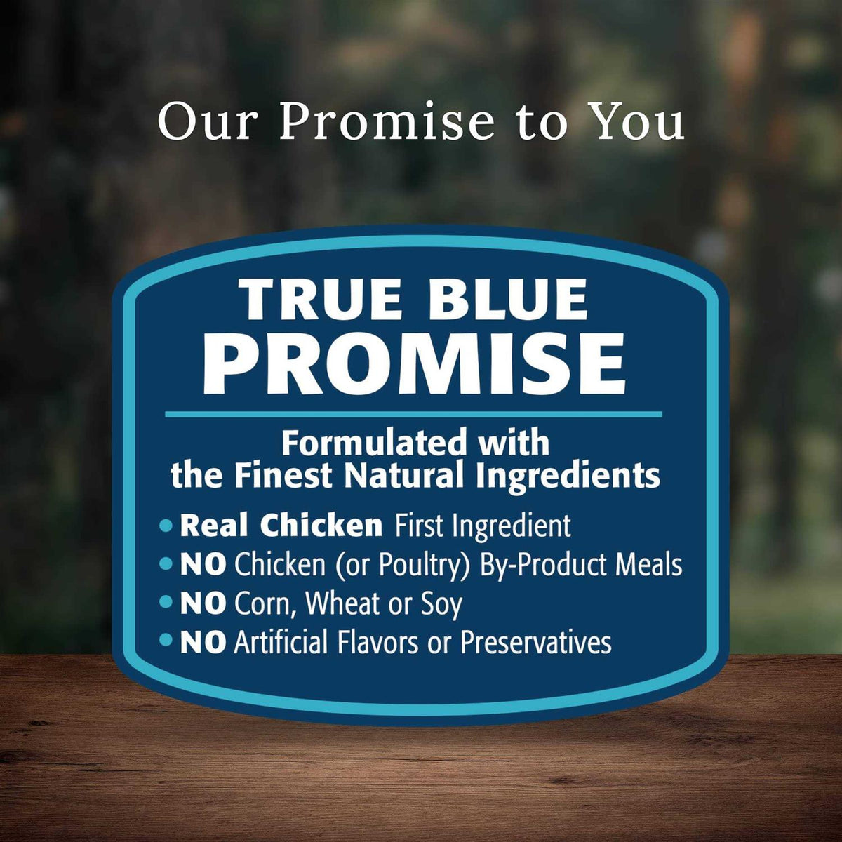 Blue Buffalo Wilderness Rocky Mountain Recipe Dog Food B61643