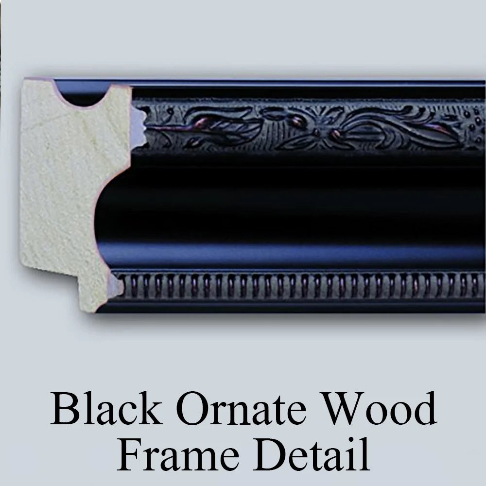 Black Ornate Wood Framed Museum Art Print T2346