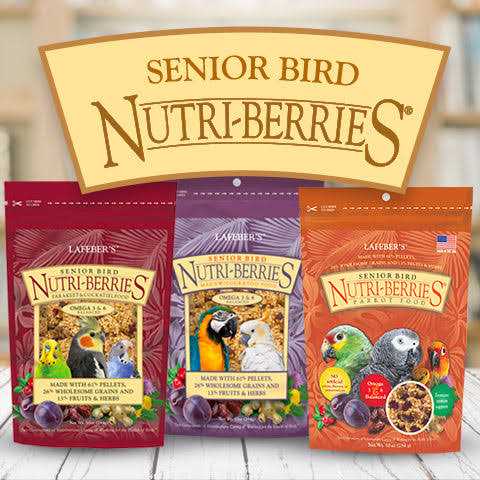 Senior Bird Nutri Berries Parrot Food N368