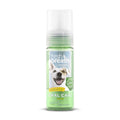 Fresh Breath Mint Foam Z6245