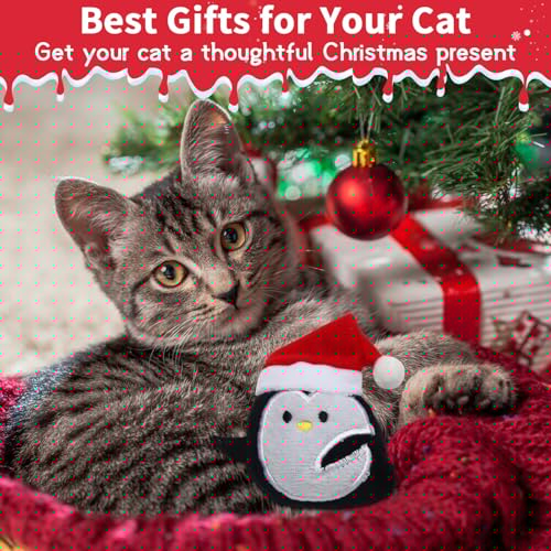8 Pieces Catnip Cat Chew Toys B837