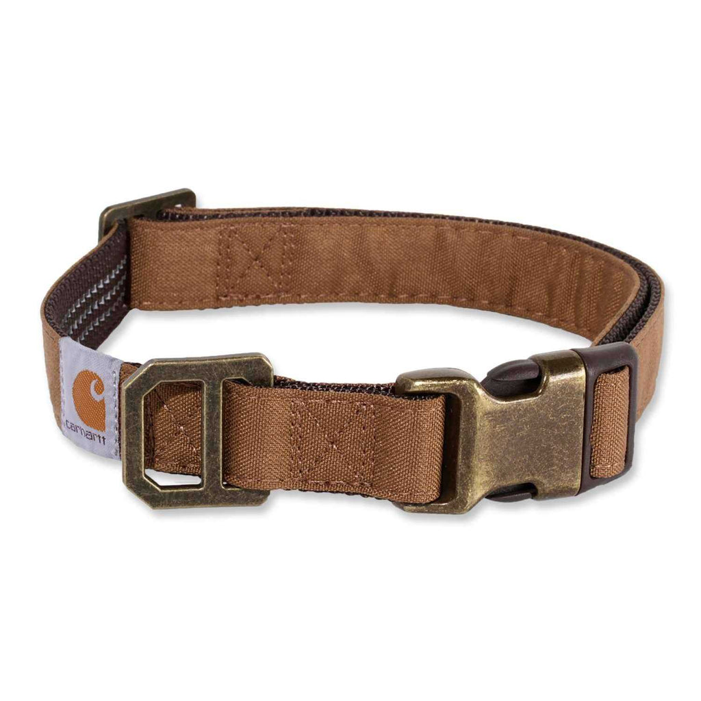 Nylon Dog Collar D3863