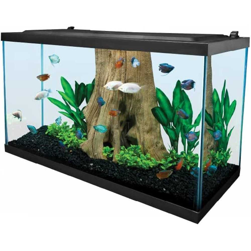 29 Gallon Glass LED Aquarium Kit H122