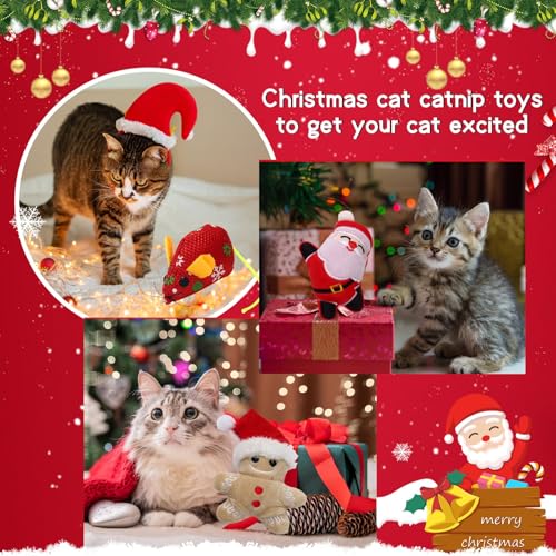 8 Pieces Catnip Cat Chew Toys B837