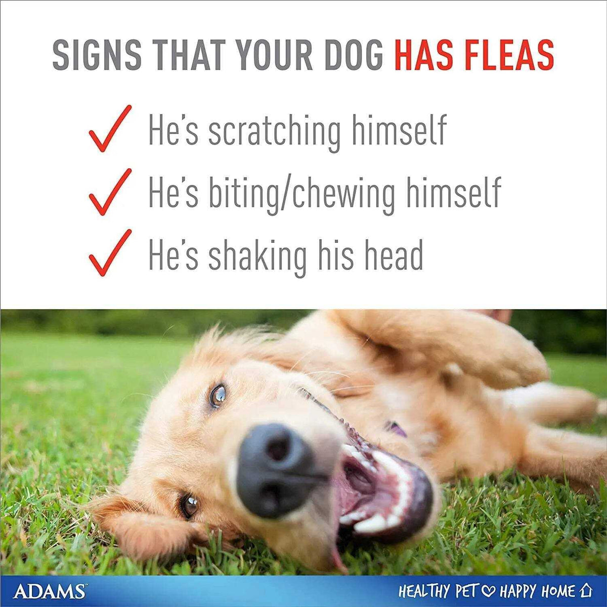 Flea & Tick Collar for Dogs E7699