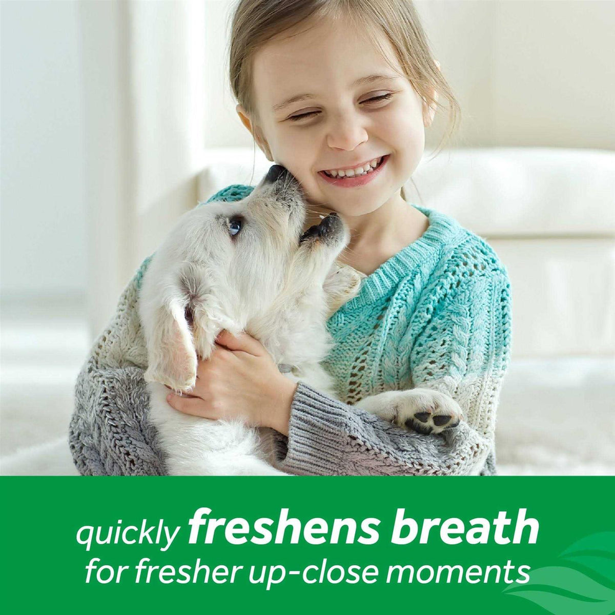 Fresh Breath Mint Foam Z6245