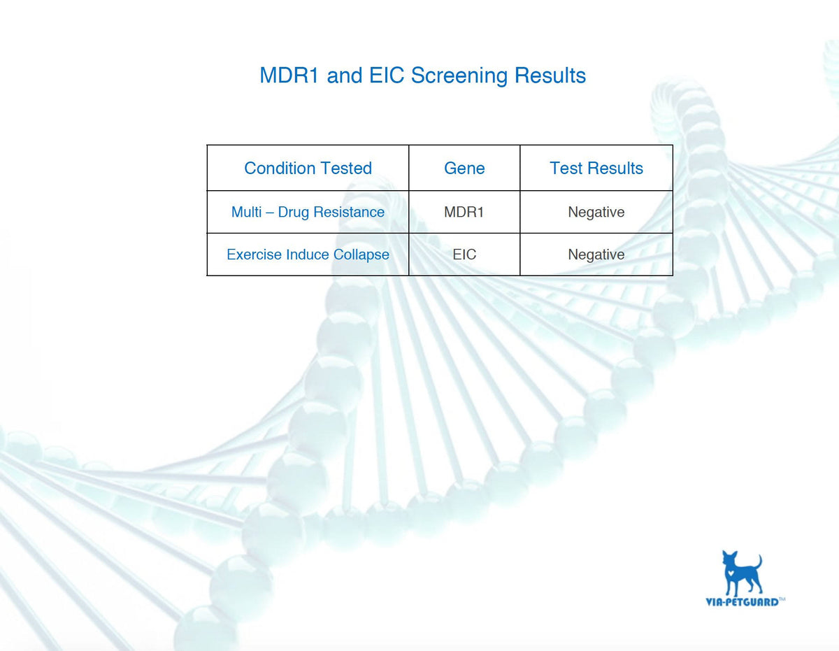 Dog DNA Breed Identification Test Cheek Swab Kit U933004