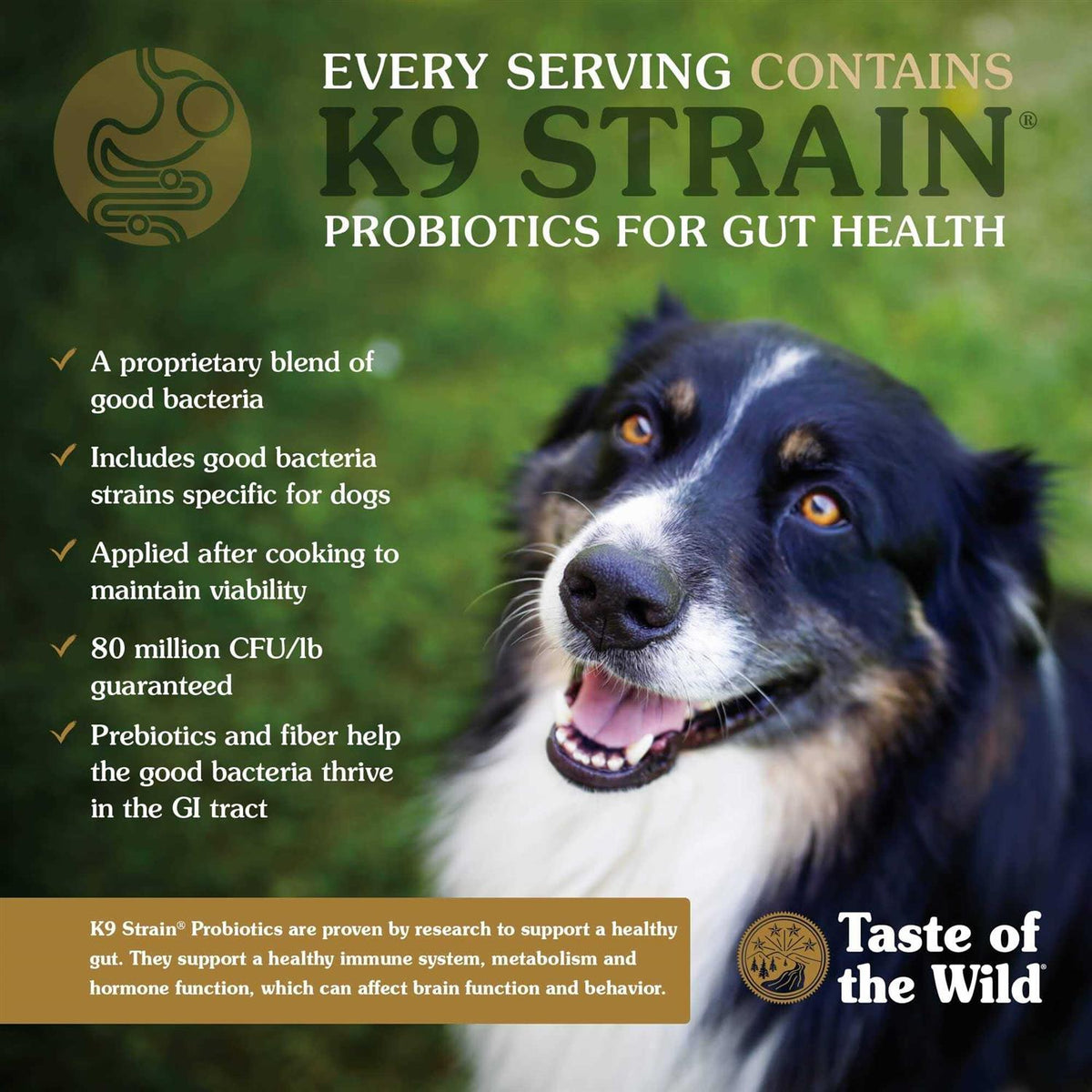 Puppy Food U4806