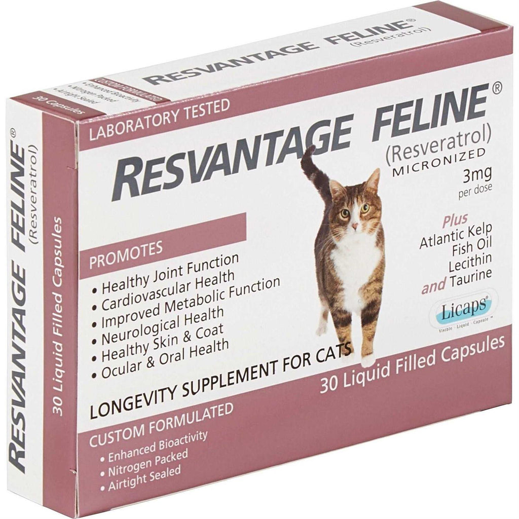 Pet Supplies K10522