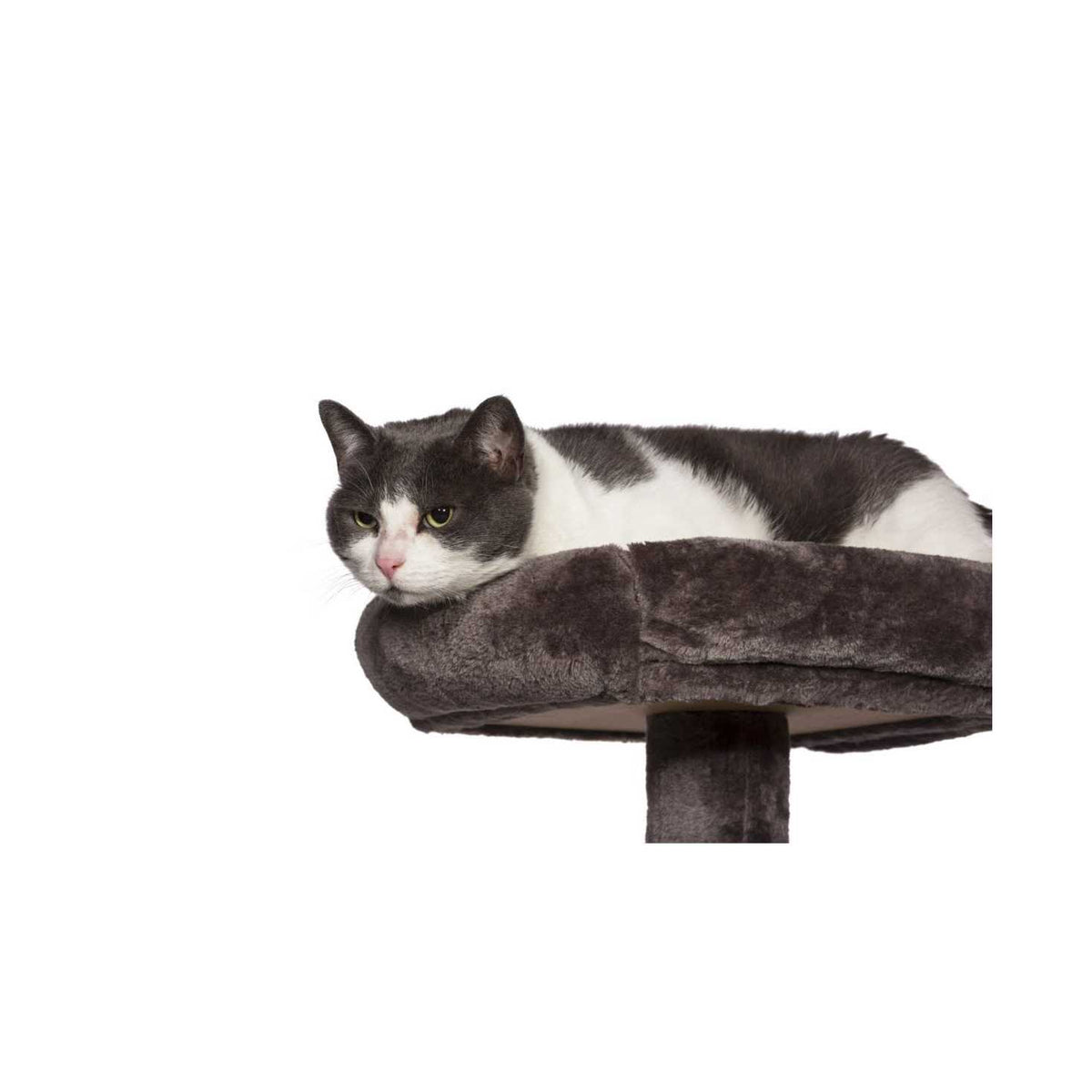 Pet Tower M401