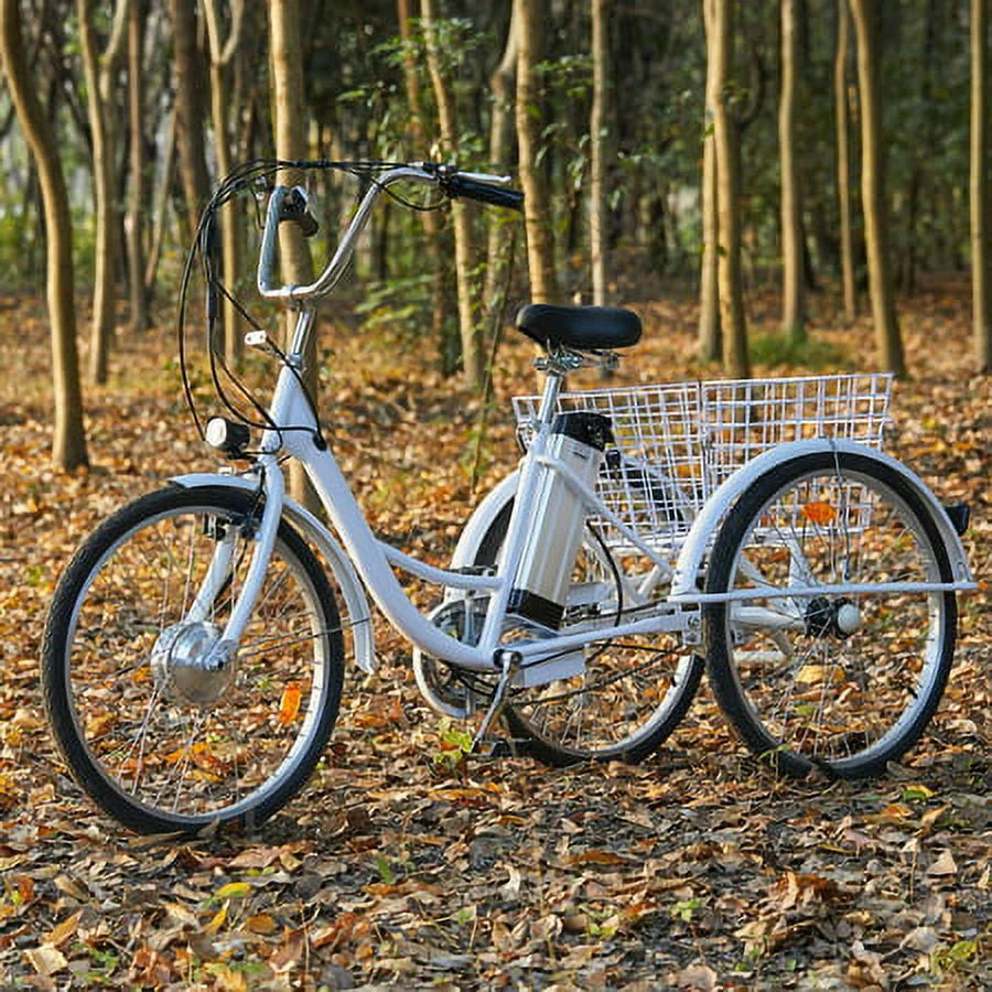 24inch 3 Wheel Electric Tricycle with 250w Motor E652229