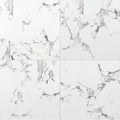 24 in. Glazed Polished Porcelain Floor and Wall Tile T6659