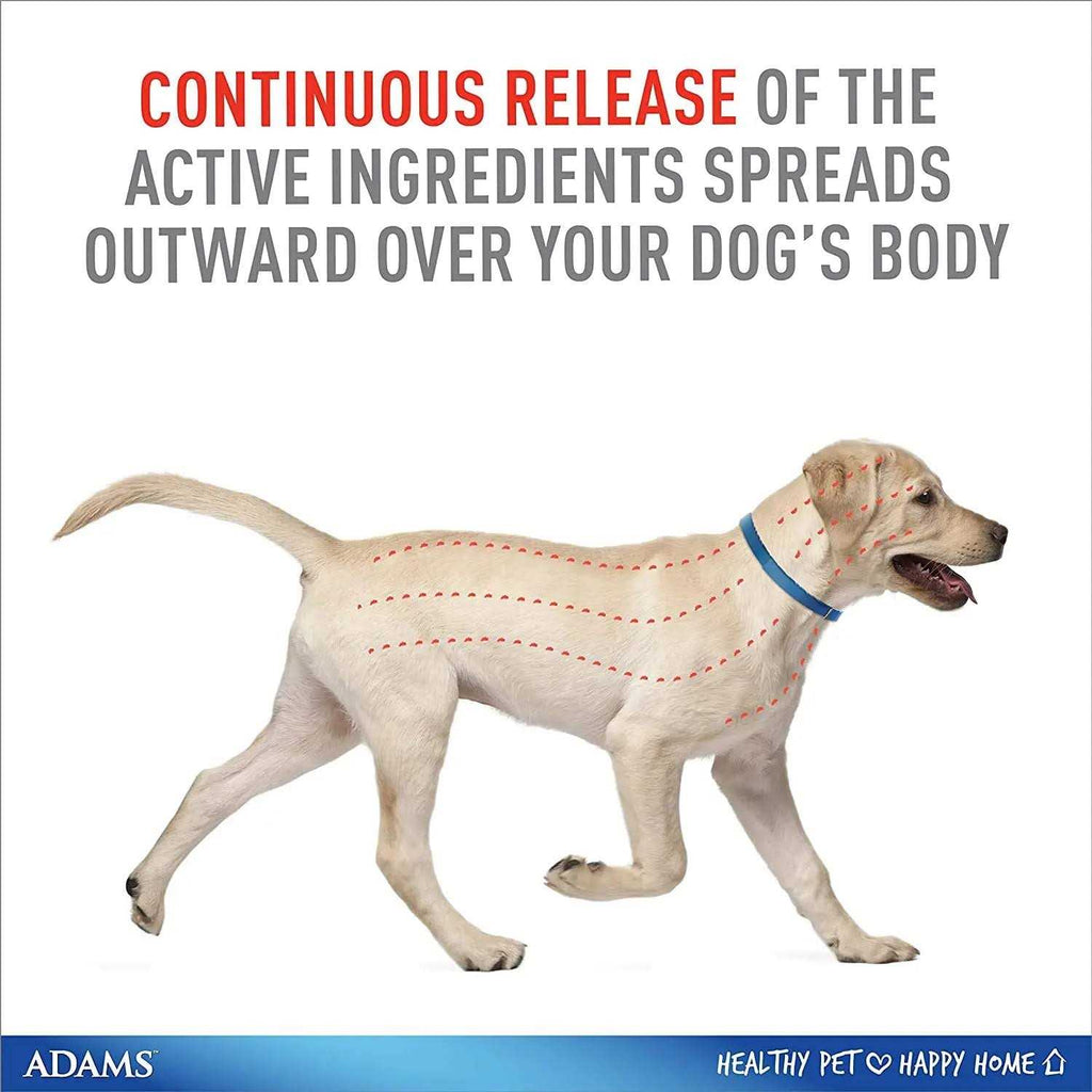 Flea & Tick Collar for Dogs E7699