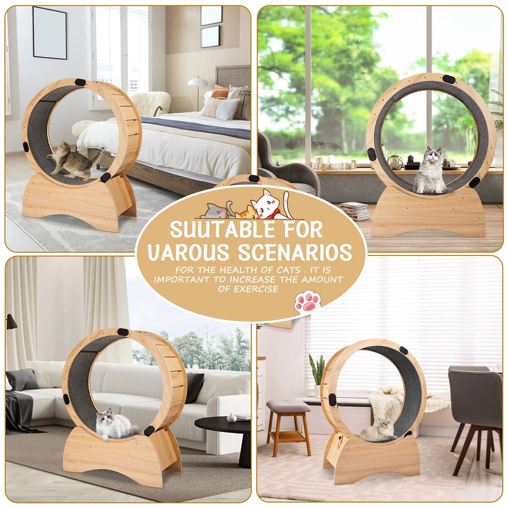 Cat Exercise Wheel H63227