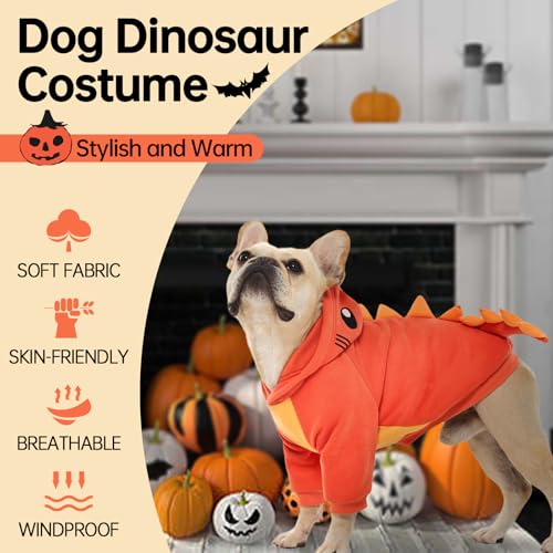 Dog Dinosaur Costume with Hood Y712100