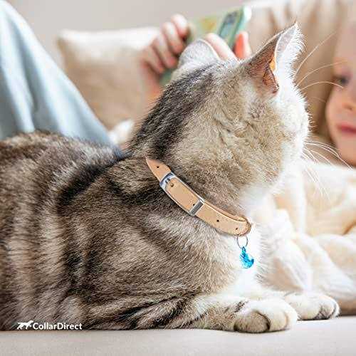 Leather Cat Collar with Bell Q783