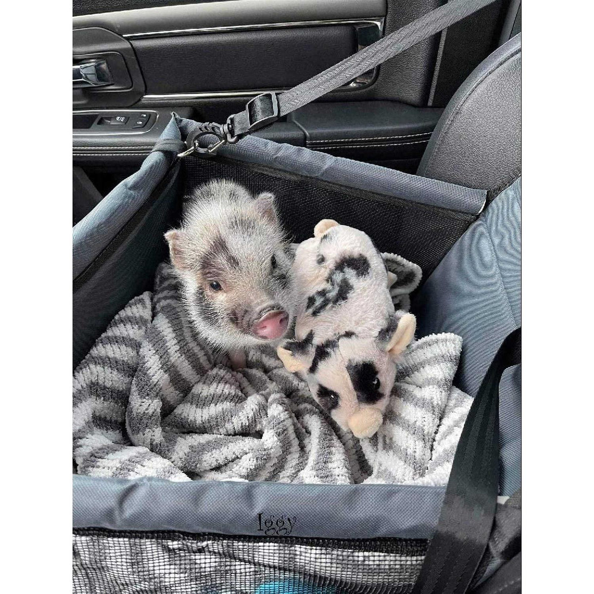 Pet Car Seat O863943