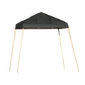 Black 8 x 8 Pop-Up Canopy Q261046