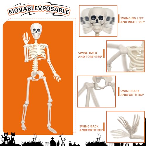 3Ft Life Size Plastic Human Skeleton with Movable Joint R5000