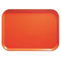 Rectangular Tray S59633