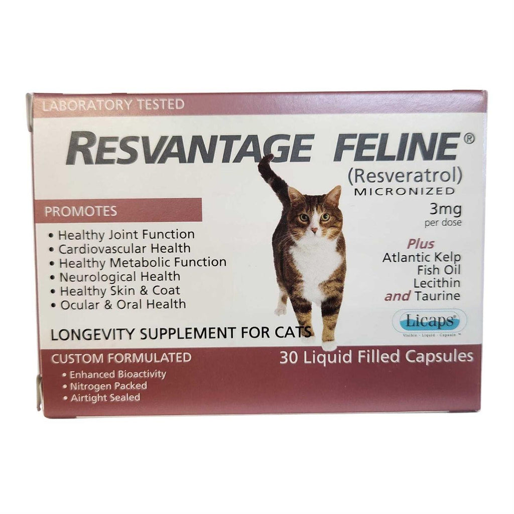 Pet Supplies K10522