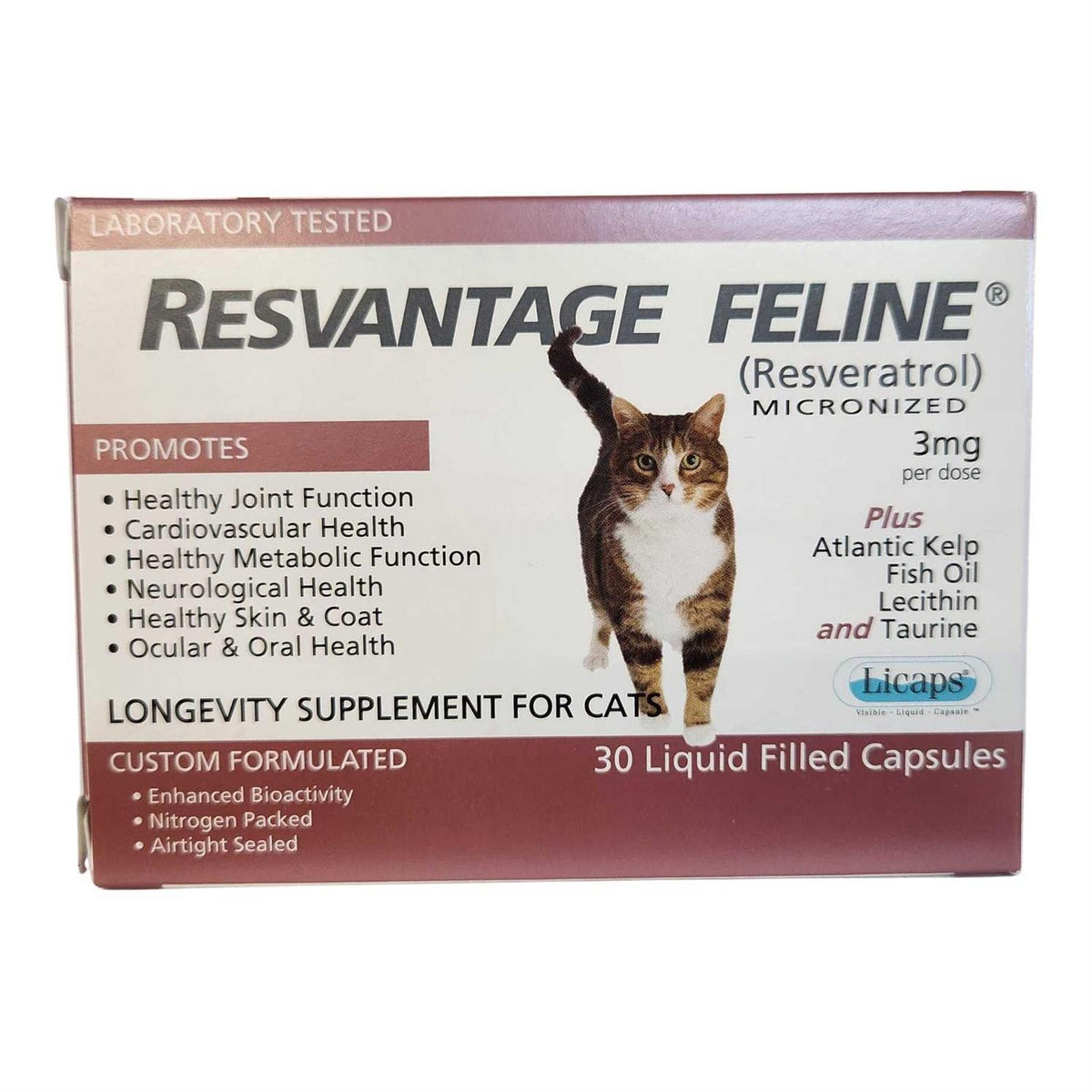 Pet Supplies K10522