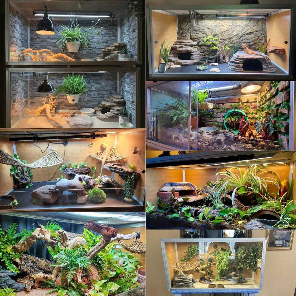 4’x2’x2′ PVC Reptile Enclosure F354