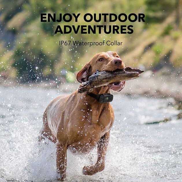 Dog Training System M128