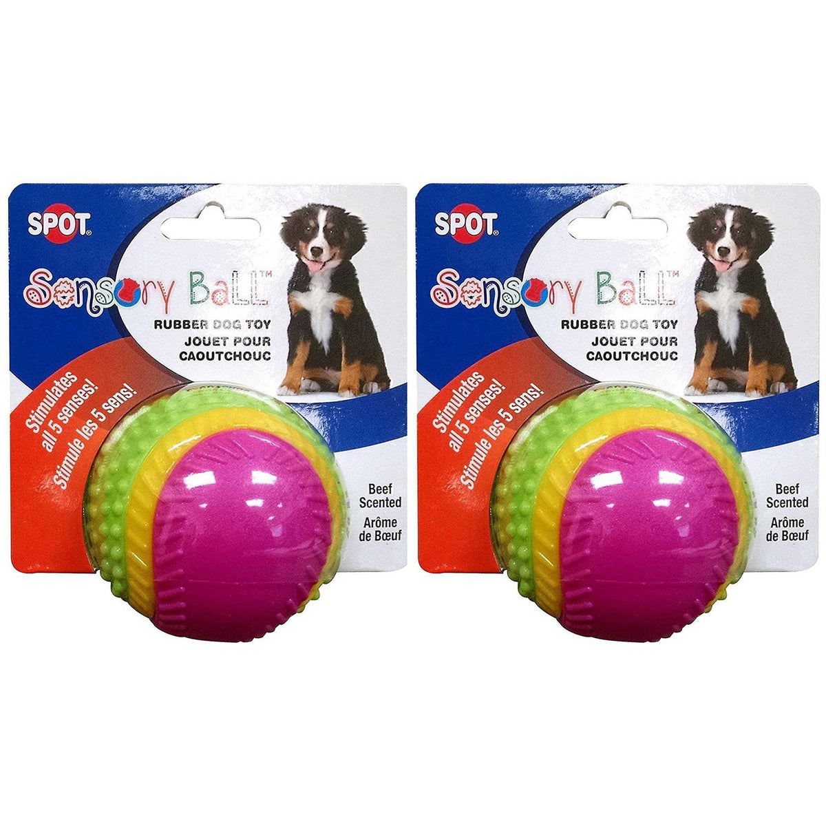 Sensory Ball Dog Toy Z349601