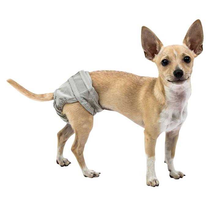 Large Pet Supplies J7115