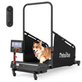 Dog Treadmill M6022