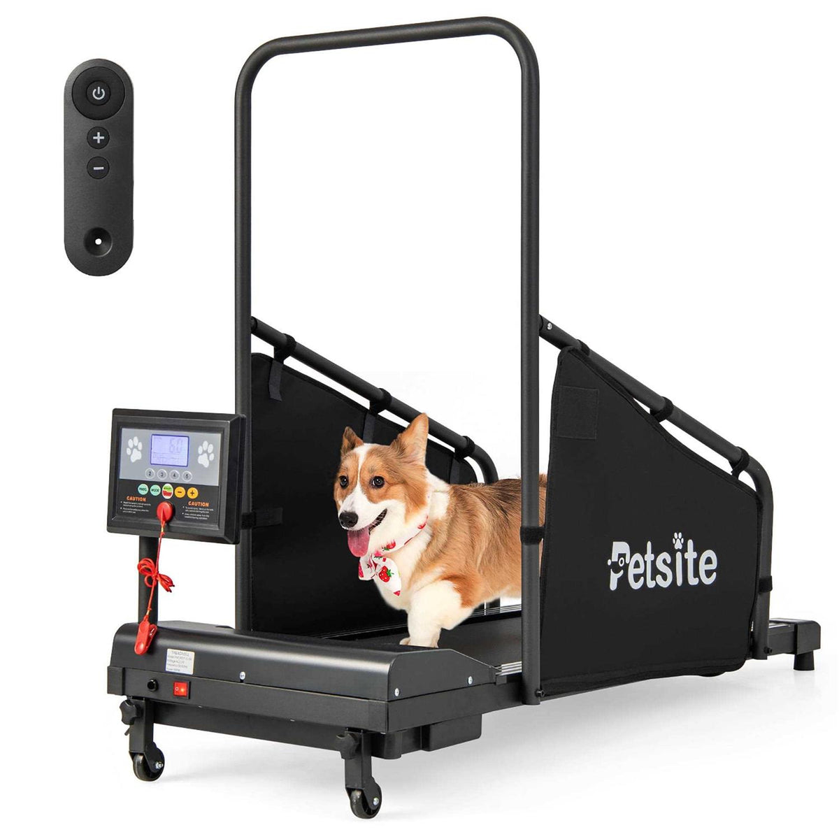 Dog Treadmill M6022