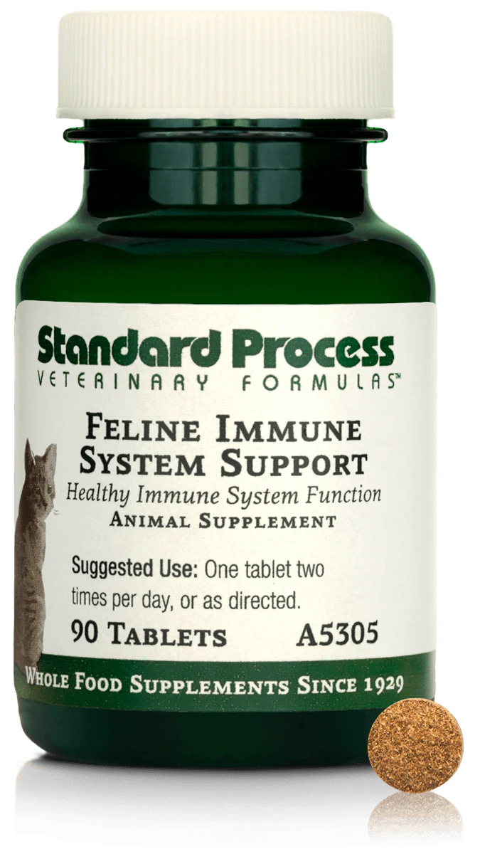 Immune System Support 90 Tablets E7623