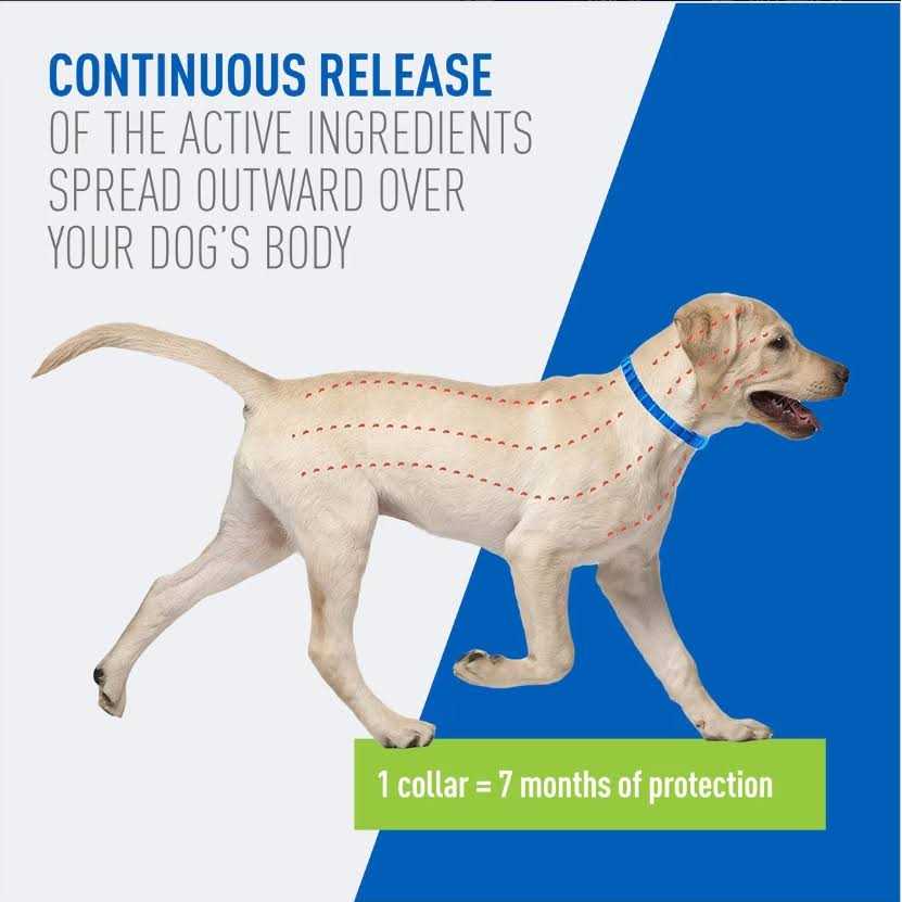 Flea & Tick Collar for Dogs E7699