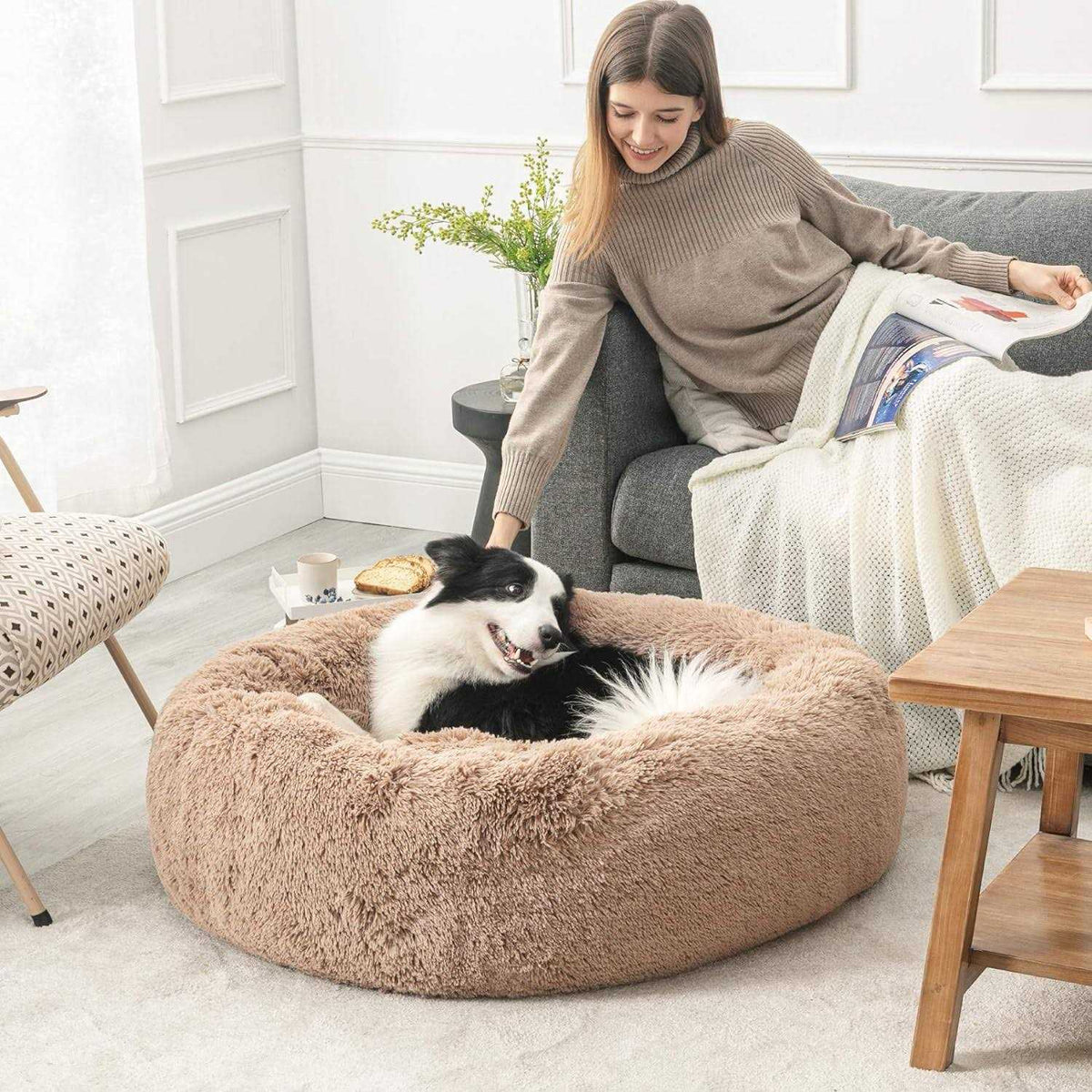 Calming Dog Bed Y4840