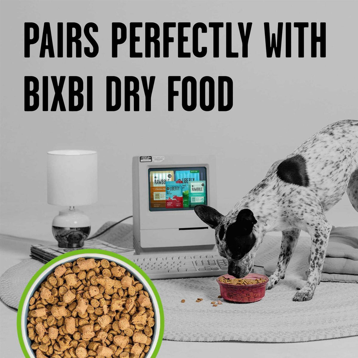 Freeze-Dried Dog Food Z10133