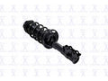 Suspension Strut and Coil Spring Assembly R45420