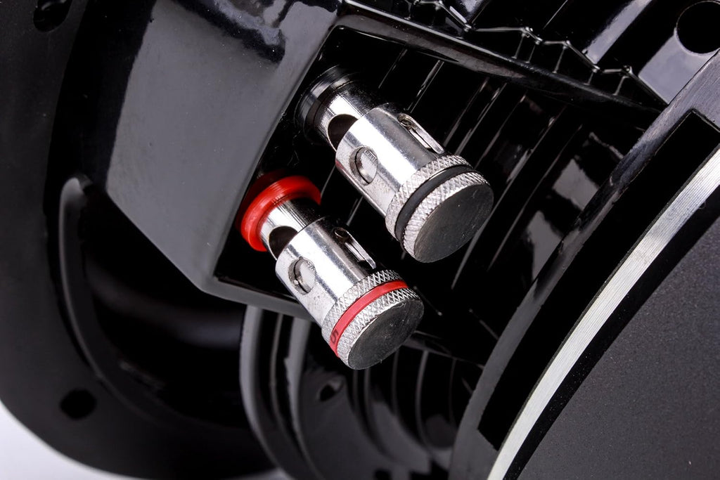 15 Dual 4 Ohm Car Subwoofer U1165
